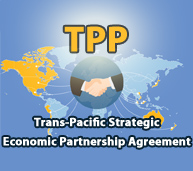 Hiep Dinh TPP